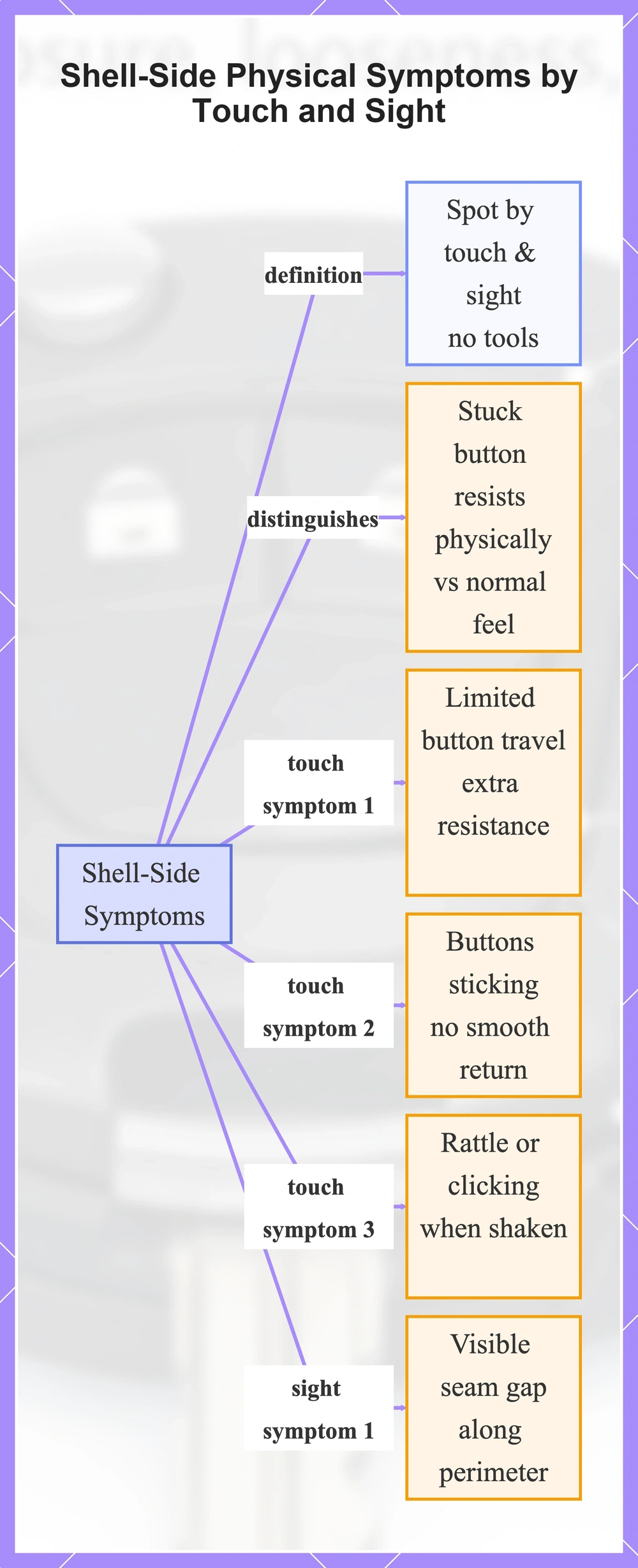 Shell-Side Physical Symptoms by Touch and Sight