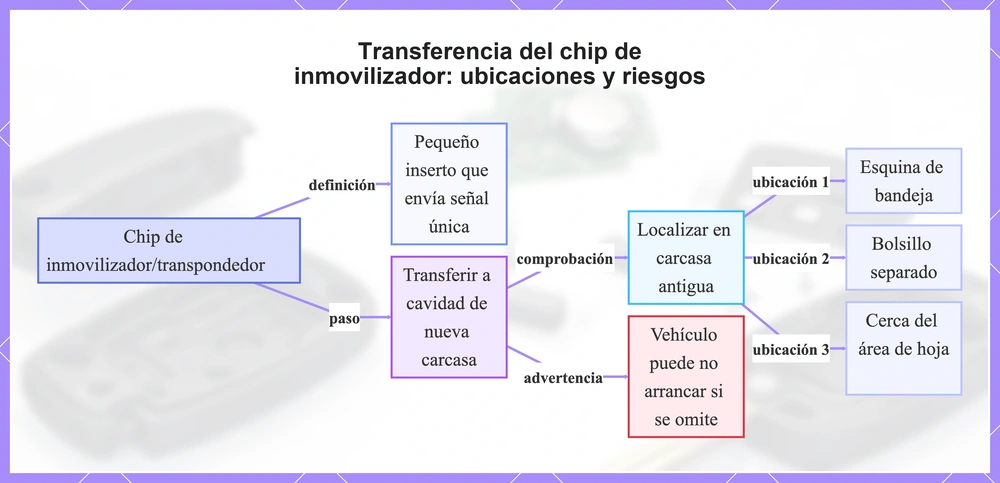 Transferencia del chip de inmovilizador: ubicaciones y riesgos