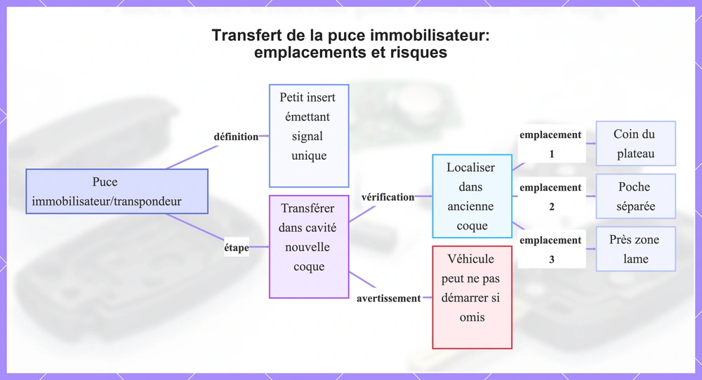 Transfert de la puce immobilisateur: emplacements et risques