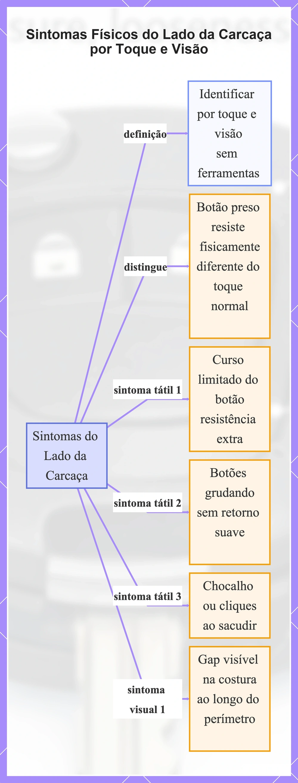 Sintomas Físicos do Lado da Carcaça por Toque e Visão