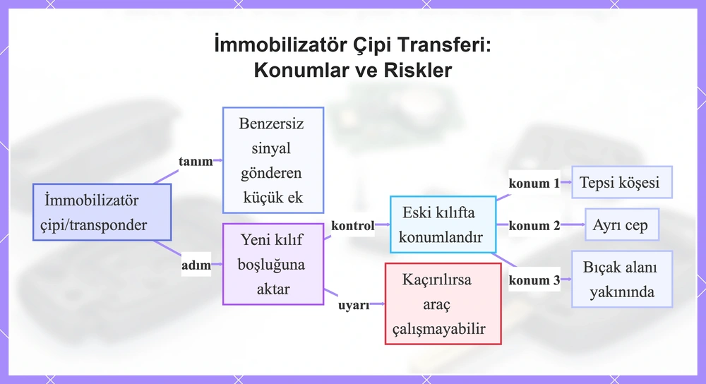 İmmobilizatör Çipi Transferi: Konumlar ve Riskler